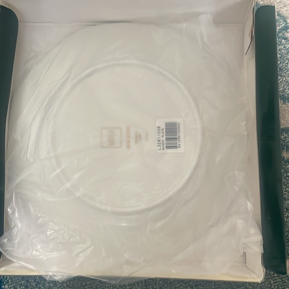 Mikasa Topiary Octagonal Plate with Green and Gold Band accents plates set of 2 - Picture 5 of 8